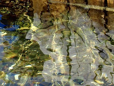 Seawitched 