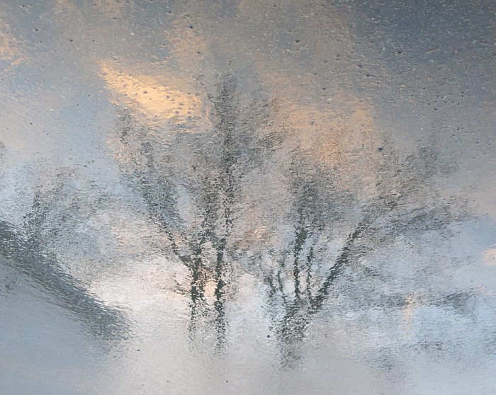 A hazy shade of winter. 