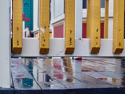 Newfoundland colours. 